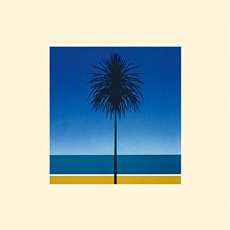 metronomy---the-english-riviera.jpg