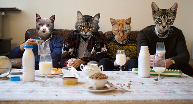 http://www.novorama.com/images/bands/wearematch.jpg