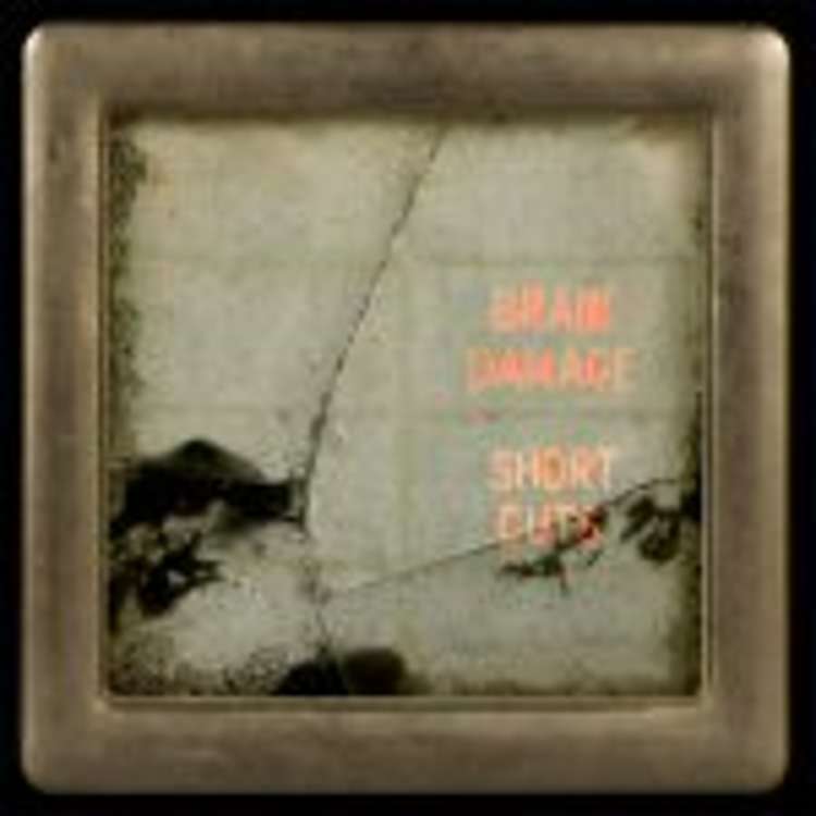 Brain Damage - short cuts