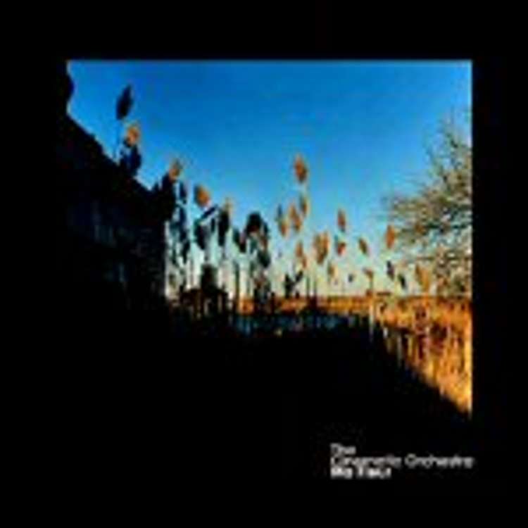 The cinematic orchestra - ma fleur