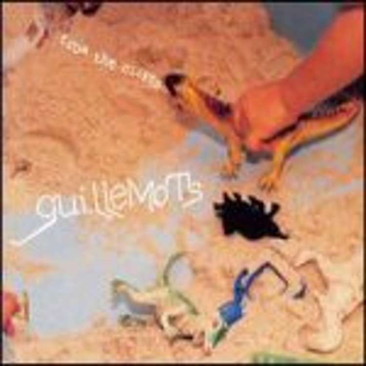 Guillemots - from the cliffs