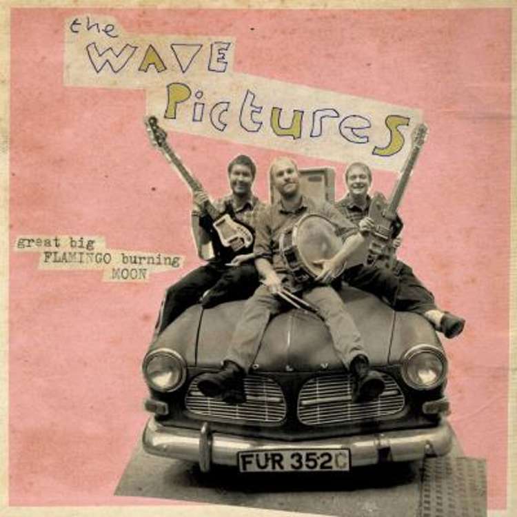The Wave Pictures - great big flamingo burning moon