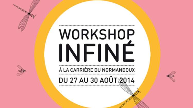 Workshop Infiné : La Programmation 2014 !