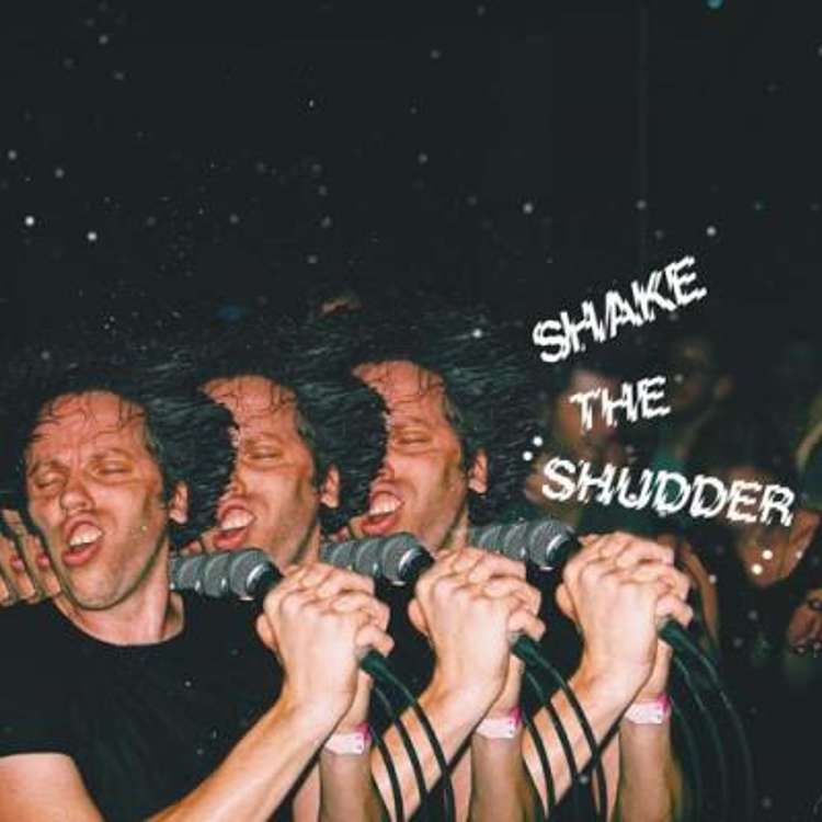 !!! Chk Chk Chk - Shake the Shudder