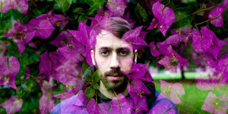 Gold Panda - brazil