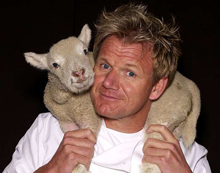 gordon-ramsay-lamb-chop-s-kids-fuck-foul-mouth-curse
