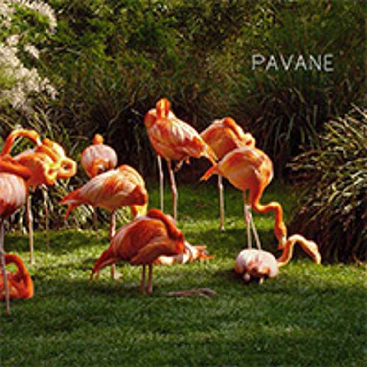 PAVANE