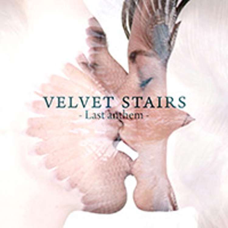 Velvet Stairs