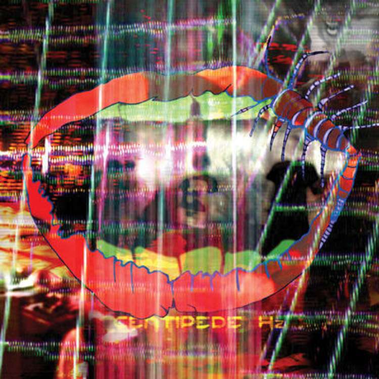 Animal Collective - centipede hz