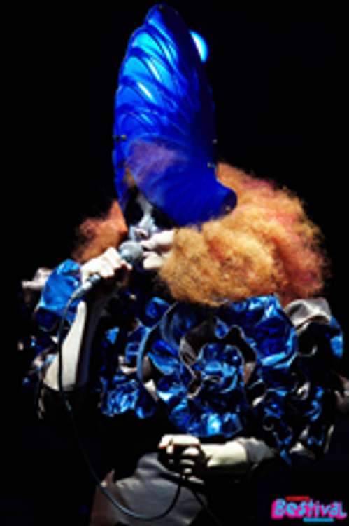 bjork.jpg