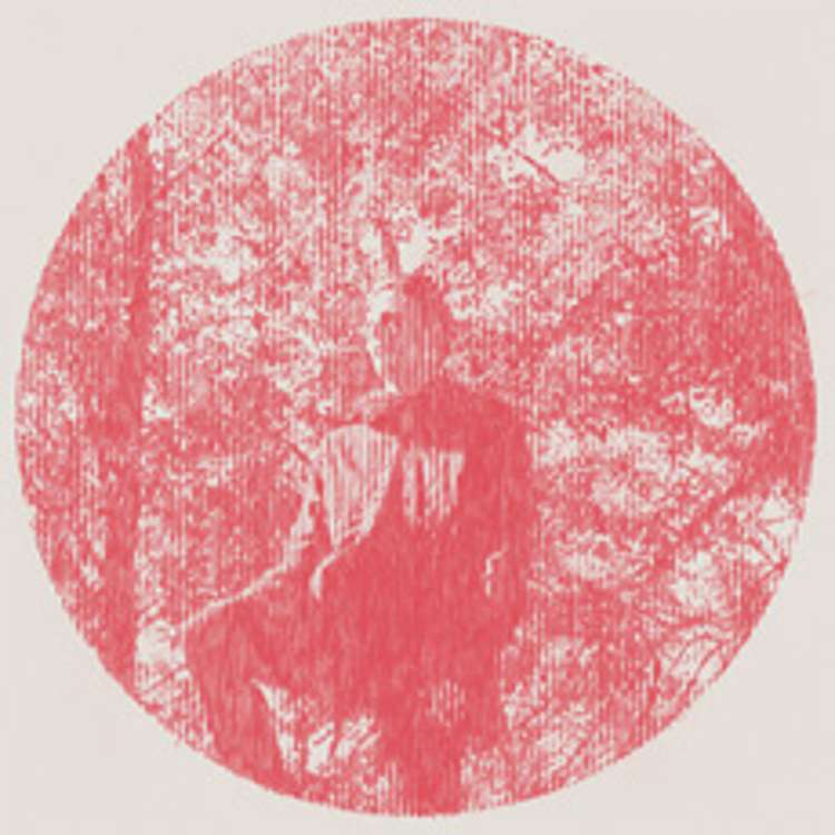 Owen Pallett - Heartland