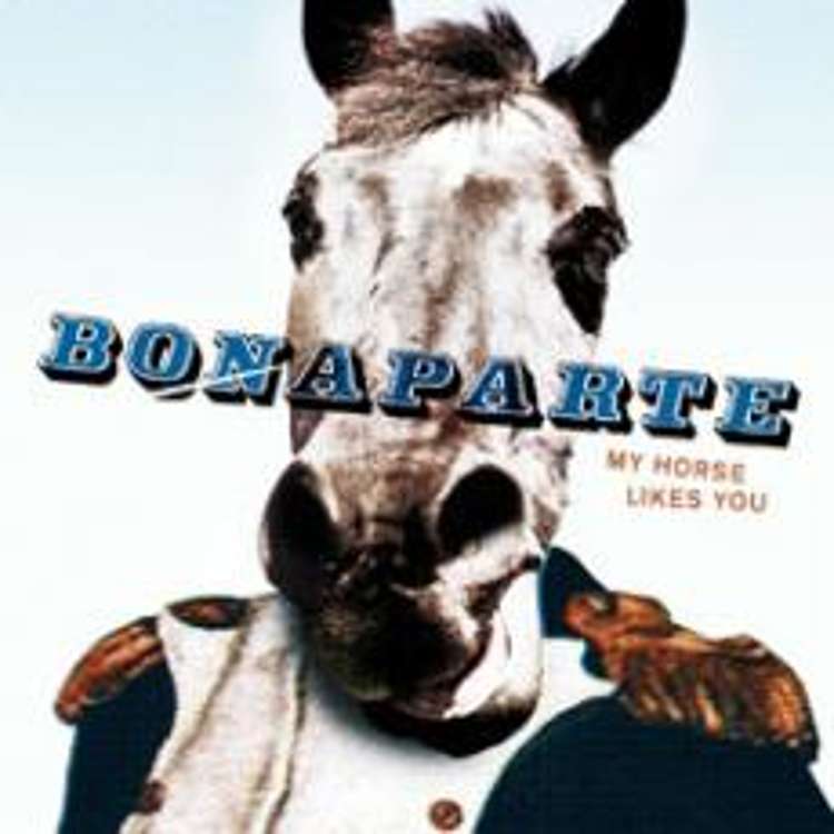 Bonaparte - My horse likes you