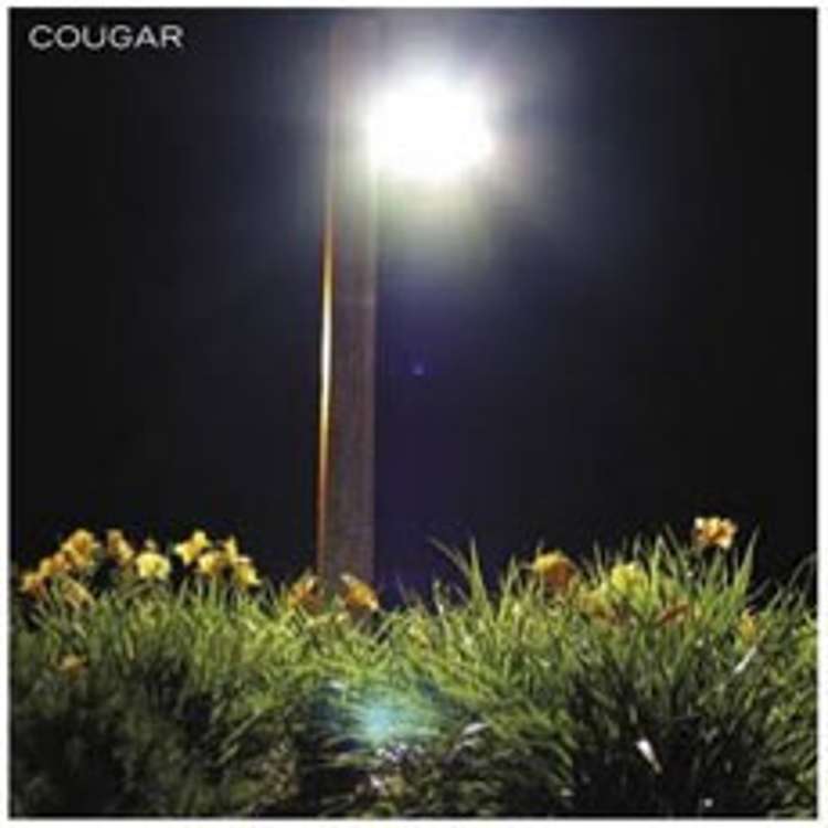 Cougar - Patriot