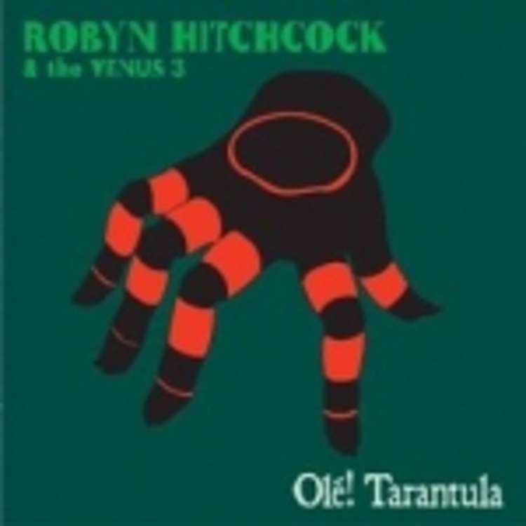 Robyn Hitchcock & the Venus 3 - Ole Tarantula