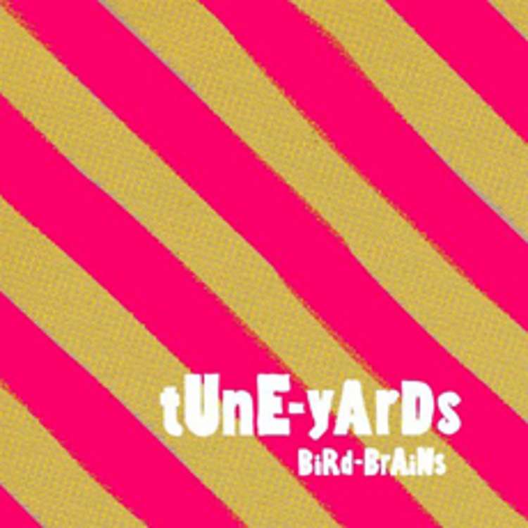 Tune Yards - bird brains