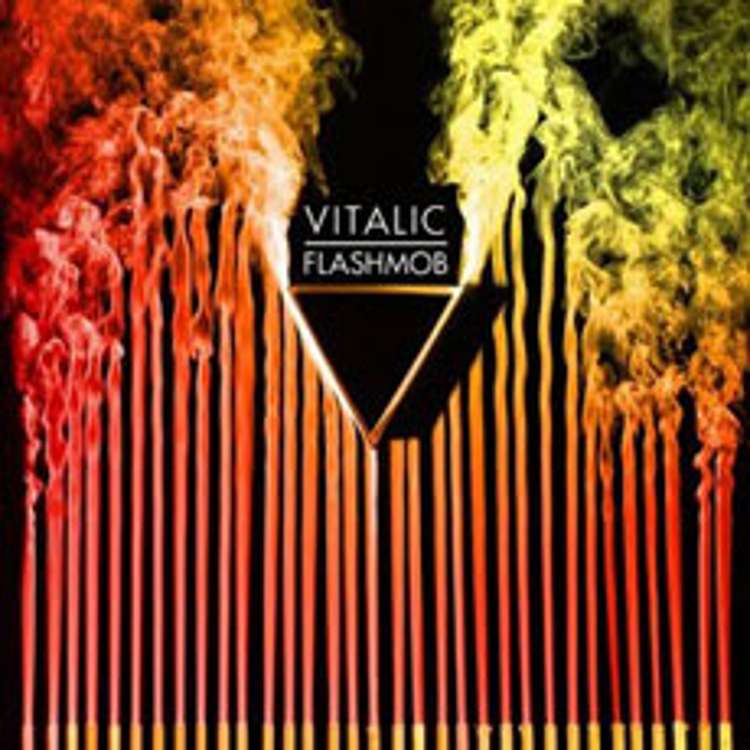 cover_vitalic_flashmob.jpg