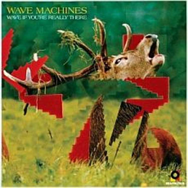 Wave Machines - wave if you're really there