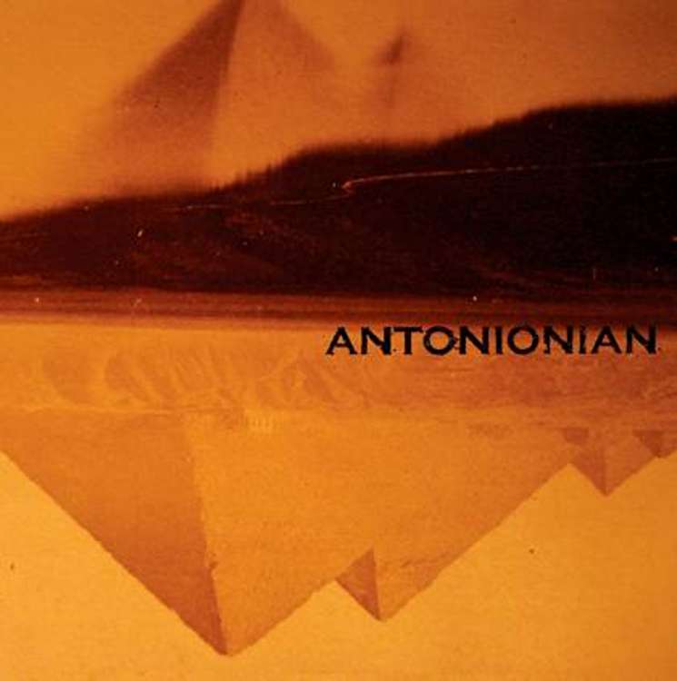 ANTONIONIAN: into the night