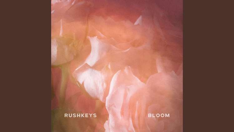 Rushkeys - Bloom