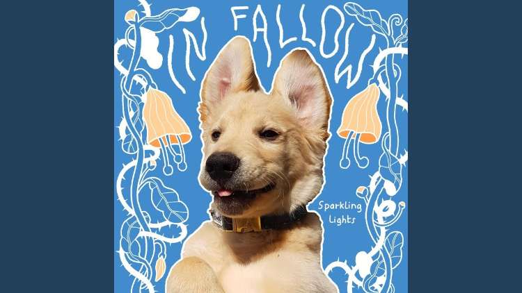 In Fallow - Sparkling Lights