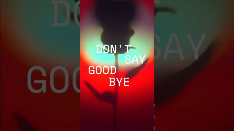 N U I T - No Goodbyes